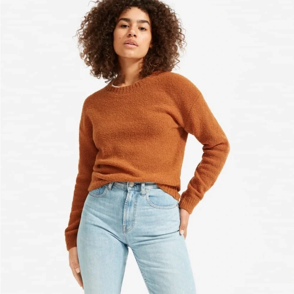 Everlane The Teddy Crew Neck Sweater - Picture 1 of 6
